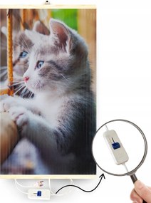 Hőmérsékletszabályozóval Ellátott radiátor, minta: Kiscicák