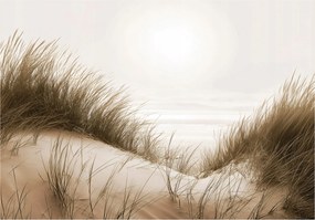 Fotótapéta Tengerpart Sivatag Tájkép Falra Hálószoba Nappali 300x210