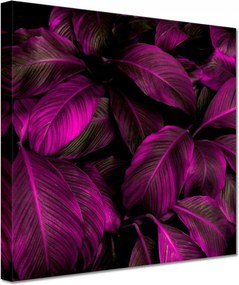 Vászonkép 20x20 Gyönyörű fukszia levelek