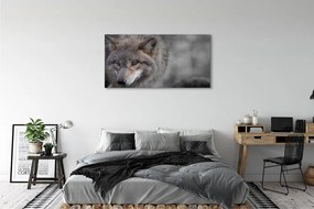 Canvas képek Farkas 125x50 cm