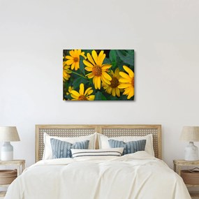Sárga virágok képe (70x50 cm)