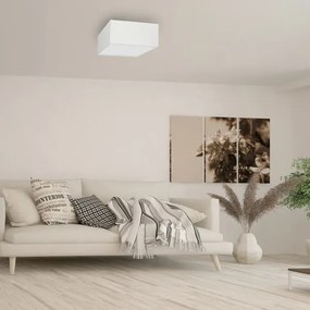 Mennyezeti lámpa ALBION 2xE27/60W/230V