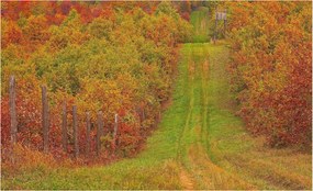 Fotótapéta Flizelina Nappali és Hálószoba Irodába Őszi színek 416x254 Ragasztó