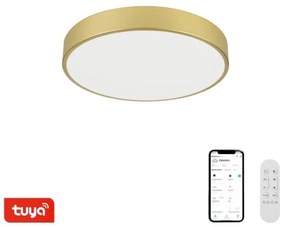 Immax NEO 07292L - LED+CCT dimmelhető mennyezeti lámpatest SEMPLICI 36W/230V átm. 40 cm + távirányítóval