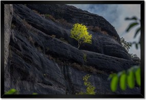 Poszterek keretben 60x40 Fa Kilátás