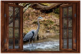 Poszterek 60x40 Kalapos madár Tájkép Kilátás