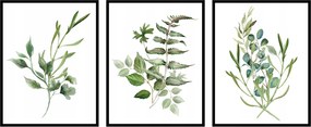 Triptichon poszter szett virágok levelek növények grafika botanika 3x- 15x21cm