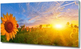 Fotó kép edzett üveg Naplemente 100x70