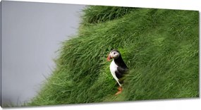 Vászonkép 115x55 Madarak