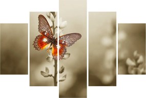 Pillangó képe (150x105 cm)