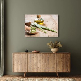 Kép - Aloe vera (90x60 cm)