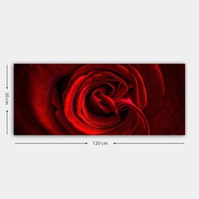 Vászonkép, 50×120 cm – TR451ERN1391