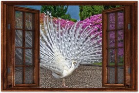 Poszterek 90x60 Madarak