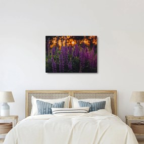 Egy csillagfürt virág képe (70x50 cm)