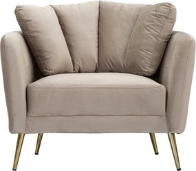 Szürkésbarna bársony fotel Kiev – Mauro Ferretti