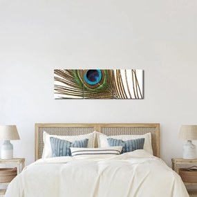 Pávatoll képe (órával) (90x30 cm)