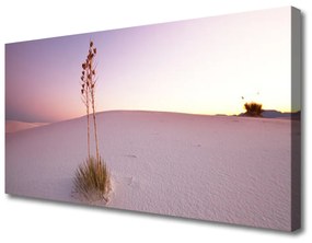 Canvas kép Sand sivatagi táj 100x50 cm