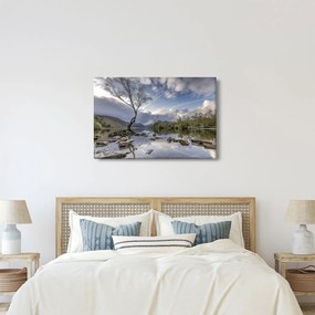 Folyó a fa mögött képe (90x60 cm)