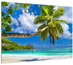Kép - Seychelle-szigetek (üvegen) (70x50 cm)