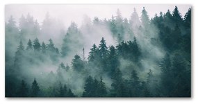 Akril üveg kép Köd az erdőben oah-167720092