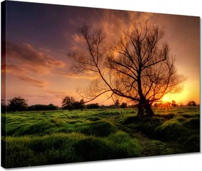 Vászonkép 40x30 Egy este a croissant-ban