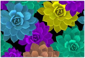 Poszterek 185x125 Színes virágok Virágok