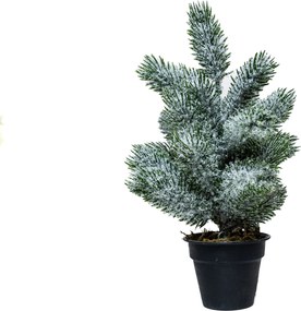 Mini műfenyő cserépben 22 cm Nagyon havas