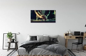 Canvas képek Konzol DJ fejhallgató 140x70 cm