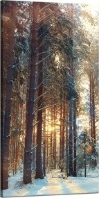 Vászonkép Erdő Tél Hó Fehér Természet 60x120 cm