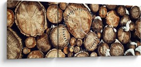 Kép - Fa a hóban (órával) (90x30 cm)
