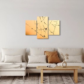 Egy harmatos pókháló képe (90x60 cm)