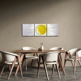 Kép - Margarita (órával) (90x30 cm)