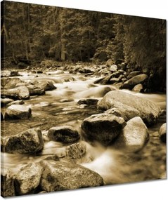 Vászonkép 50x50 Tátra Lengyel hegyek Kilátás