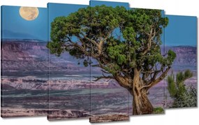 Festmények 100x60 Kilátás Tájkép