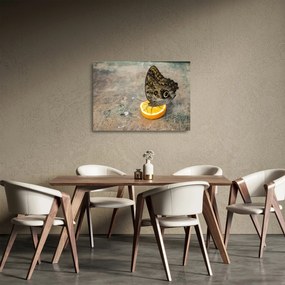 Pillangó képe (üvegen) (70x50 cm)