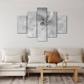 Kép - Bagoly, fekete-fehér (150x105 cm)