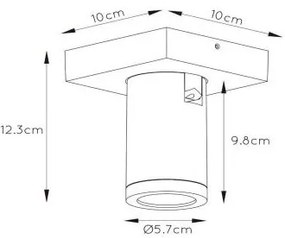 Lucide 09930/05/31 - LED Dimmelhető spotlámpa TAYLOR 1xGU10/5W/230V IP44