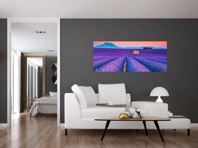 Kép - Levendula mező (120x50 cm)