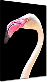 Vászonkép 80x120 Flamingó madár Mit csomagolok