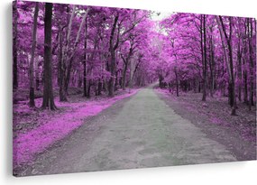 Kép - Út a parkon (90x60 cm)