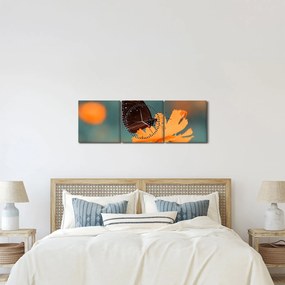 Kép - pillangó narancssárga virágon (órával) (90x30 cm)