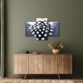 Kép - Toll (90x60 cm)
