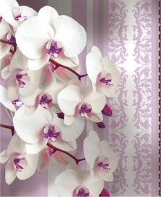 Fotótapéta Orchideák finom csíkok elegáns belső tér 206x275 +ragasztó