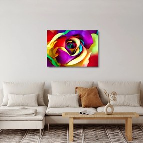 Üveg kép - Színes rózsa (70x50 cm)