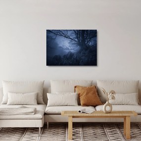 Egy sötét erdő képe (üvegen) (70x50 cm)