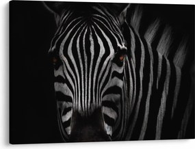 Zebra képe (70x50 cm)