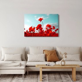 Fényes piros virágokkal rendelkező mező képe (90x60 cm)