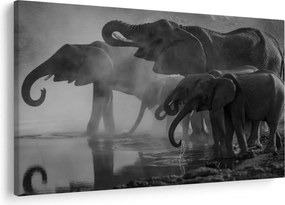 Elefánt képe - fekete fehér (90x60 cm)