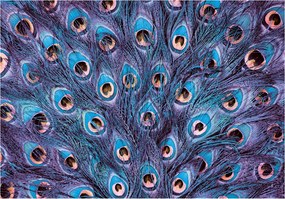 Fotótapéta Páva tollak Elegancia és vinil szín 368x254 +ragasztó