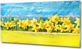 Fotótapéta üvegfalra Pitypang mező 125x50